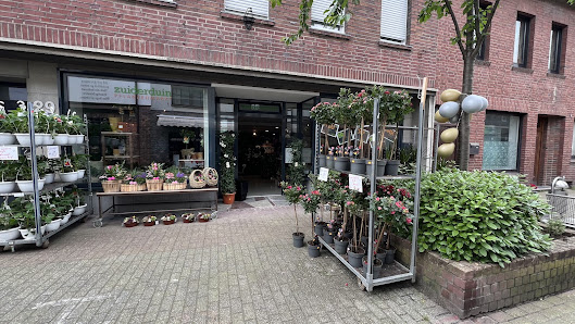 Pflanzenmarkt Peter Zuiderduin