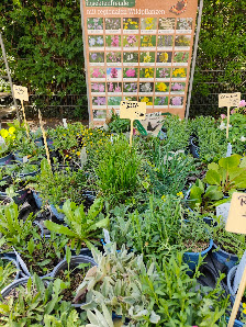 Gartenbau Klaus Hüskes