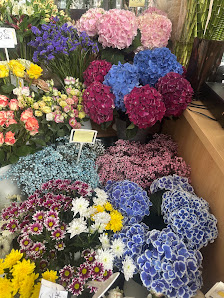 Linda blumen