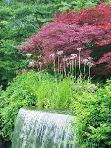 Nabbefeld & Schages Garten- und Landschaftsbau