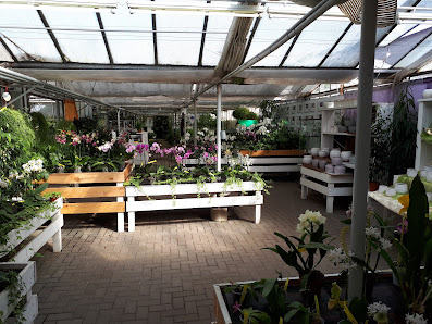 Orchideen Lucke, Inh. Jörg Frehsonke