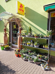 Schöne Blumen Gispersleben