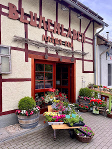 Natur Pur - Der Blumenladen