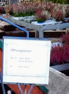Blumenhaus Grumbach