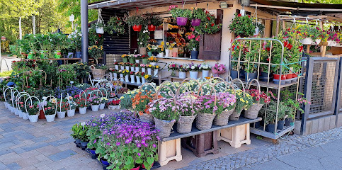 Linda Blumen Laden