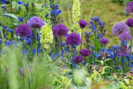 Lemo Gartendesign