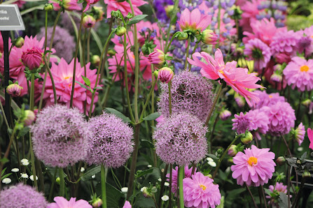 Lemo Gartendesign