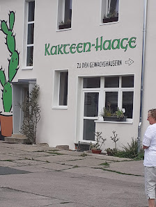 Kakteen-Haage