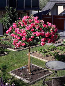 Blumenfachhandel Gärtner