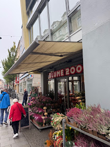 BLUME2000 Erfurt Bhf
