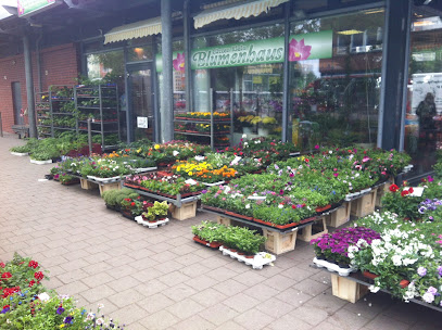 Blumenhaus in Lütten Klein
