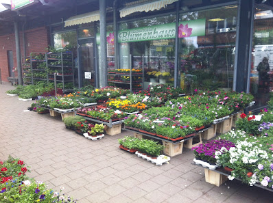 Blumenhaus in Lütten Klein
