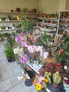 Blumen, Obst & Gemüse