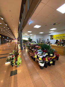 PROFiFLORA