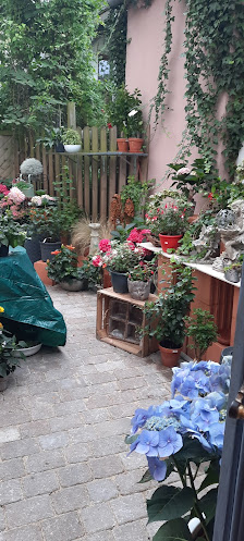 Flower Lounge & Atelier
