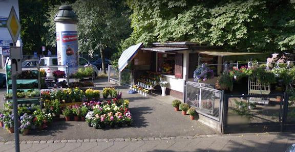 Bahnhofstrasse Fresh Flowers