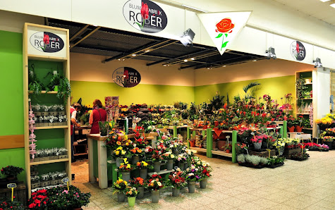 Blumen Robér