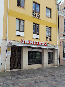BLUME2000 Rostock