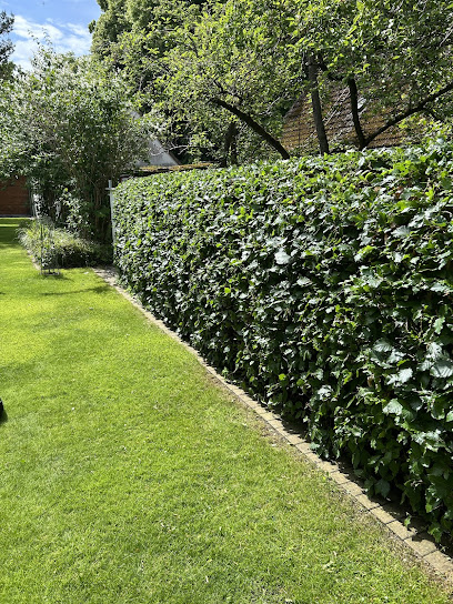 Haus und Gartenservice Borchardt
