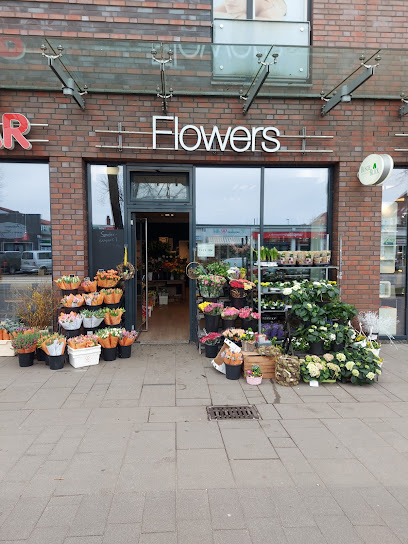 My Flowers Marienfeld Blumenhandel