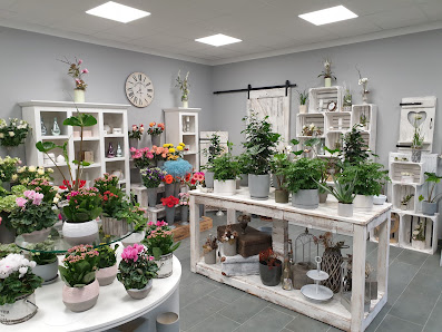 VERGISSMEINNICHT Blumenfachgeschäft, Inh. Ilka Hildebrandt