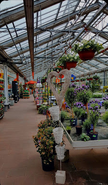 Erich Rahlf und Söhne Blumen- und Pflanzenmarkt Schönberg