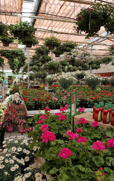 Erich Rahlf und Söhne Blumen- und Pflanzenmarkt Schönberg