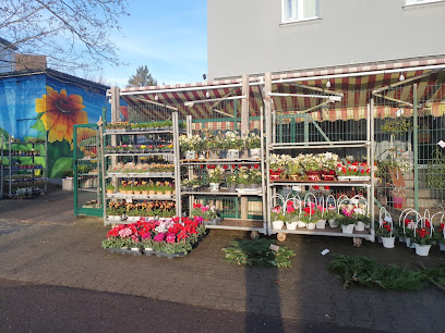 Blumen & Pflanzen Idyll