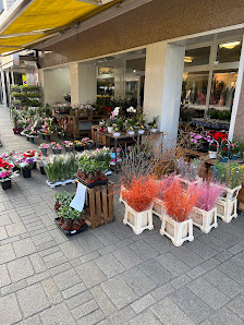 Der Blumenmann