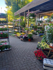 Blumen Floristik Fischer