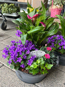 Blumen Gebr. Spangenberg Bottrop