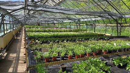 Gärtnerei Hirschgarten