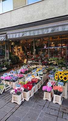 Blumen der Holländer
