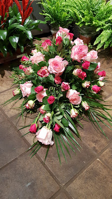 Blumen der Holländer