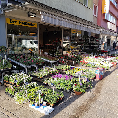 Blumen der Holländer
