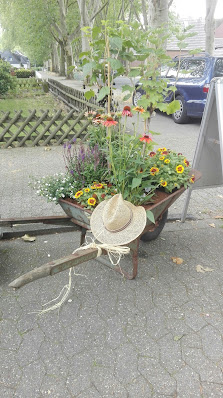 Blumen am Elpenbach