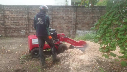 Torsten Schwarz Haus- und Gartenservice