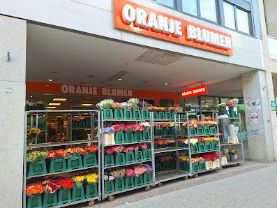 ORANJE BLUMEN