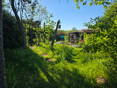 Gartenanlage Gartenfreunde St. Arnual