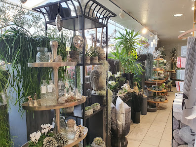 blumen schiffler