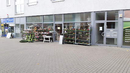 Blumengeschäft in Rostock