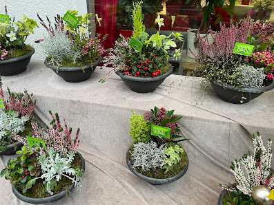 Blumen Rupp
