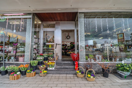 Blumen Spangenberg Dinslaken