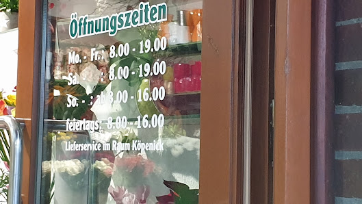 Blumen und Pflanzen HH