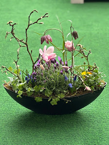 Sandrina´s Cafe und Blumenhandel GmbH