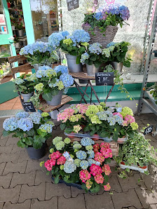 Bloomings