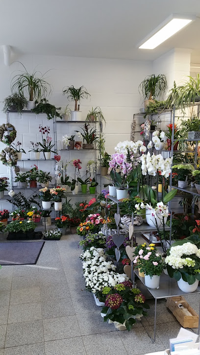Blumen Klahm
