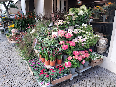 BLUME2000 Berlin Bölschestraße