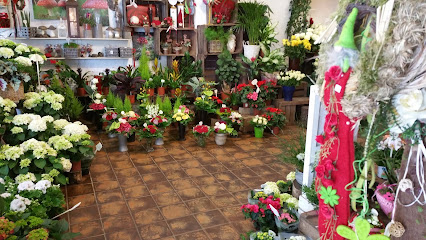 Blumen Püpke