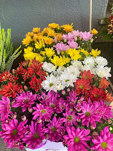 BlumenHerz